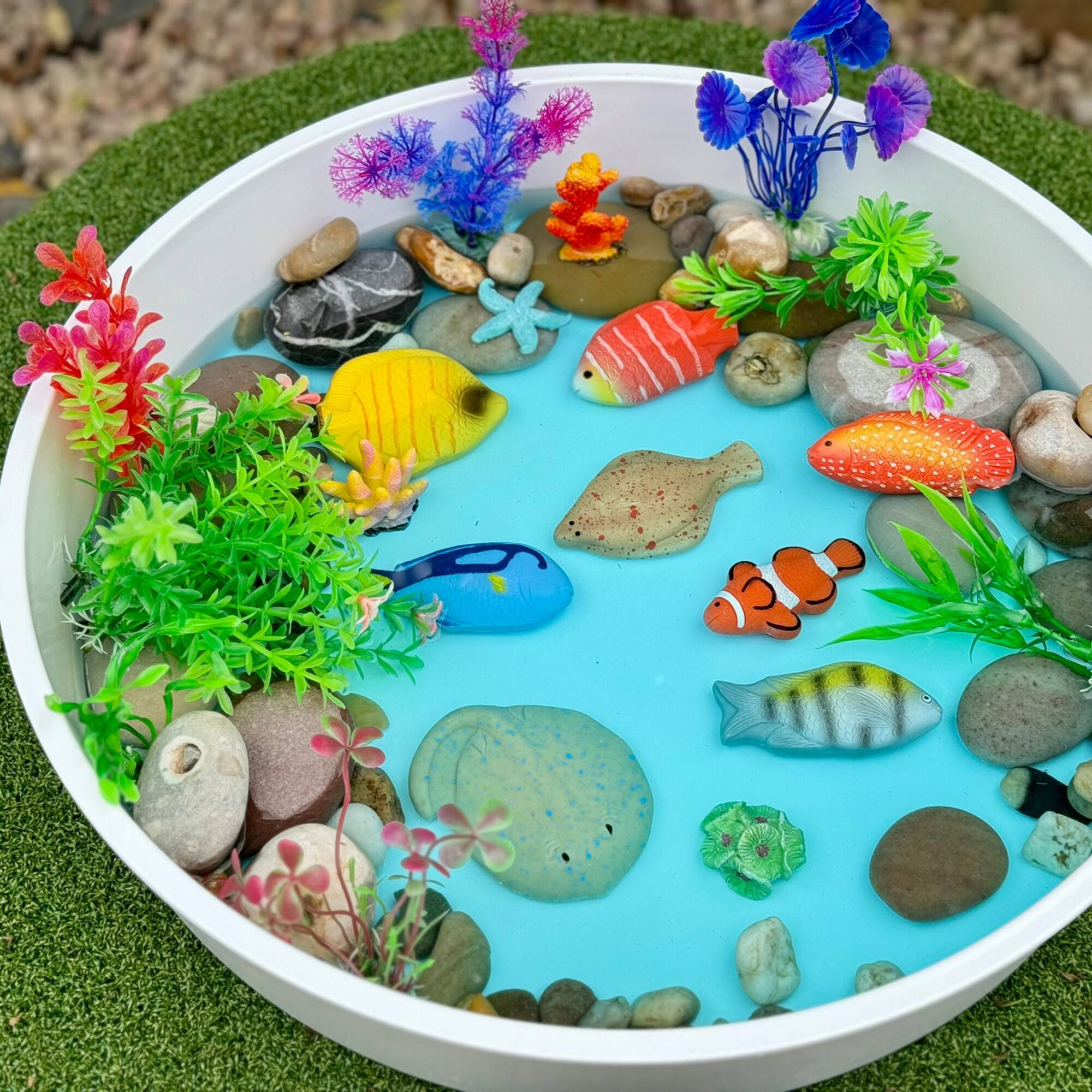 Yellow Door Fish Sensory Play Stones Set